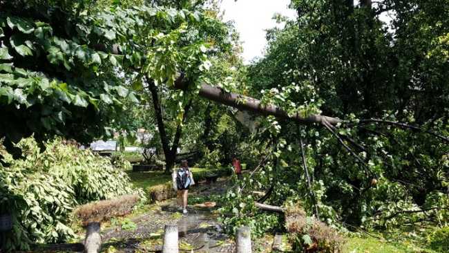 maltempo vb ago 19 3