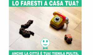 manifesto deiezioni cani domo 17