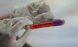 omicron covid variante