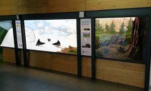 parchi crodo Centro visita