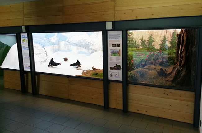 parchi crodo Centro visita