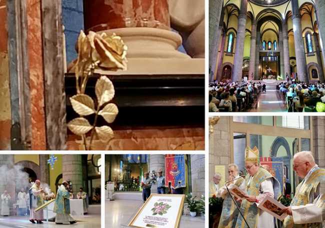 re rosa oro santuario mix