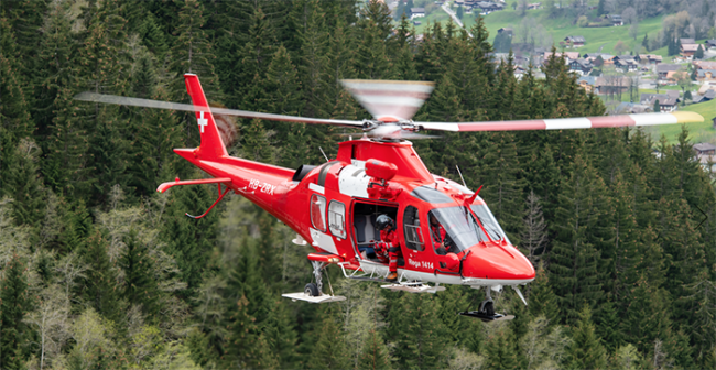 rega giorno estate sorvolo piante case