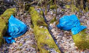 sacchetti rifiuti piana devero