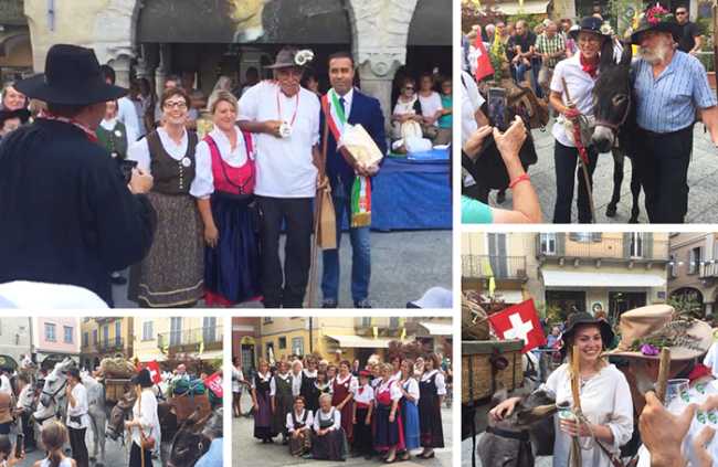 sbrinz route domo 19 mix