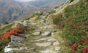 sentiero stokalper via 