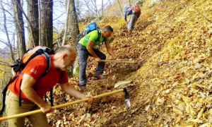 sentiero volontari foglie anzasca