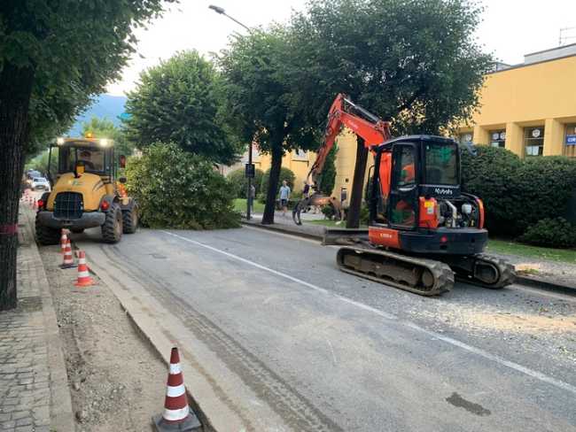 taglio piante cannobio 1