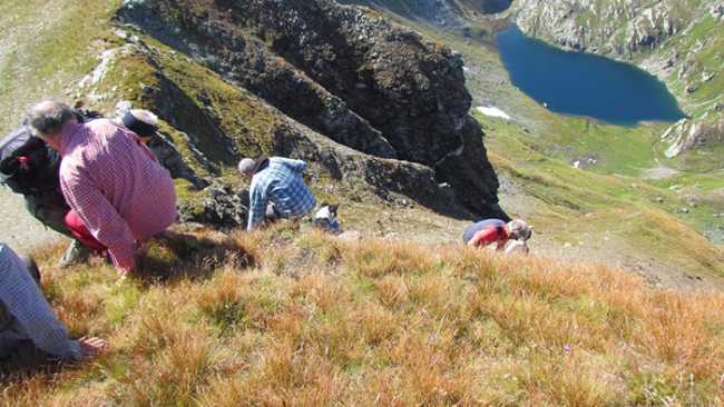 tanzonia devero fabbri