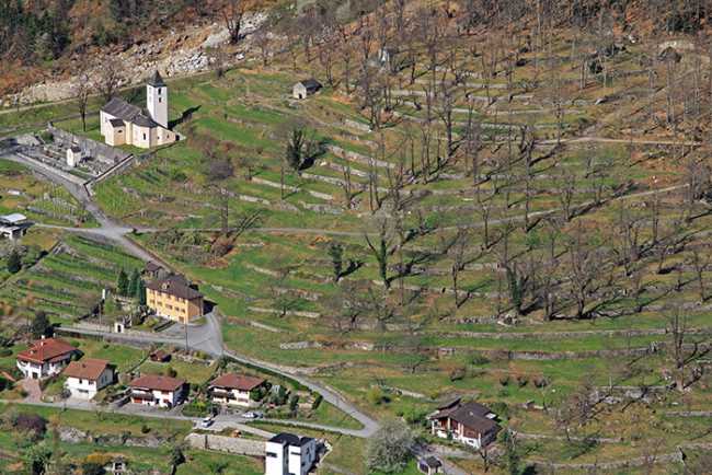 terrazzamenti parco val grande premosello versante colloro