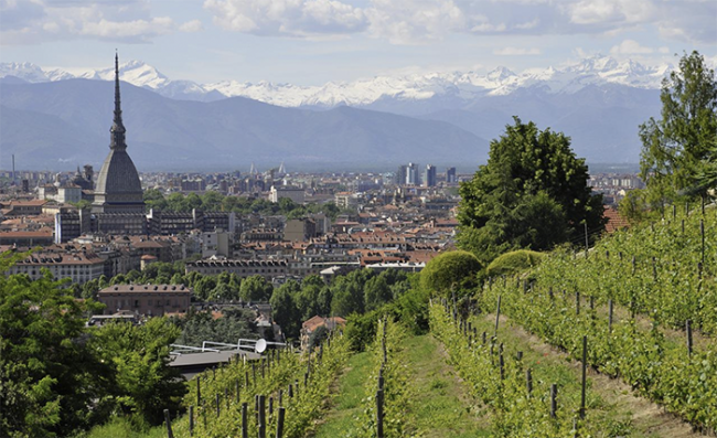 torino mole alpi vigne
