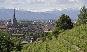 torino mole alpi vigne