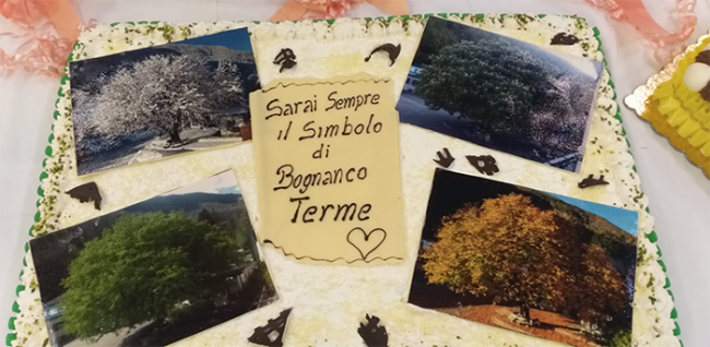 torta ippocastano bognanco