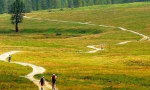 veglia prato sentiero