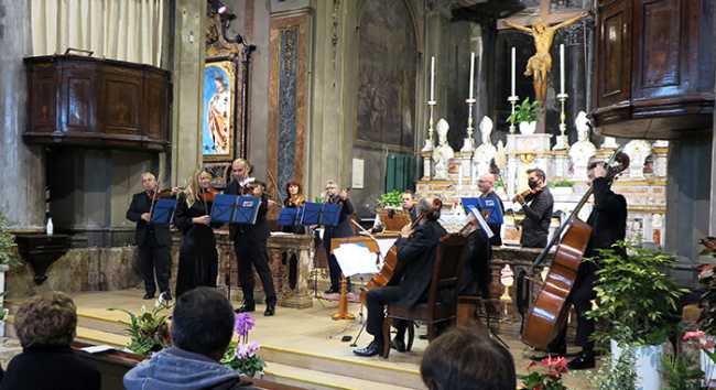 violino scala collegiata