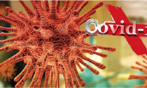 virus covid 19 arancione images articles vco ossola 2020 Aprile thumb medium650 0
