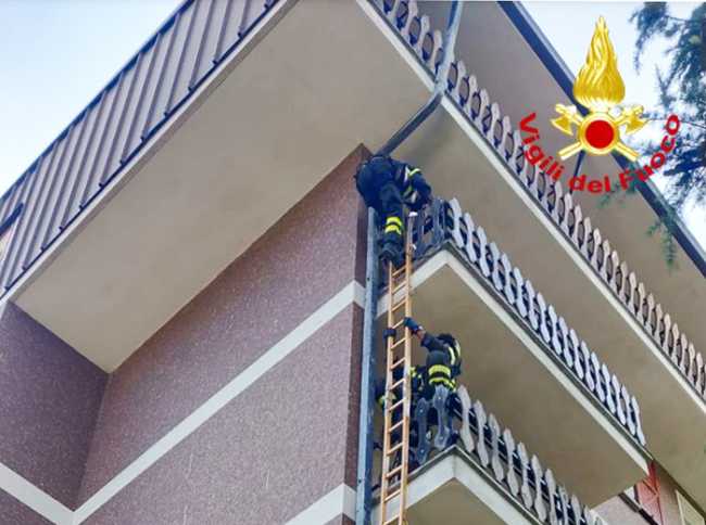 vvf scala condominio