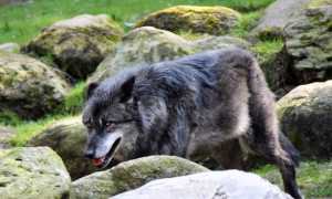 waldemar rO8TdlRrOo0 unsplash copia