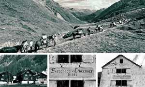 walser antica bn mix