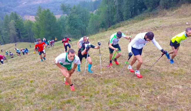 rampigada vertical 16