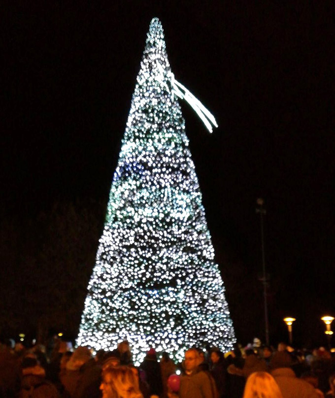 La città si è vestita a festa con l'accensione dell'albero. Fotogallery