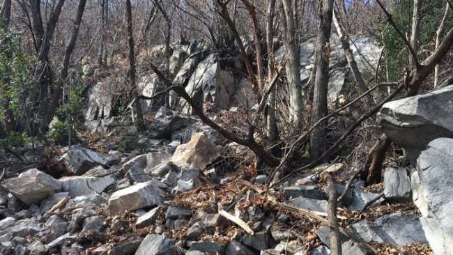 carmine frana cannobio strada