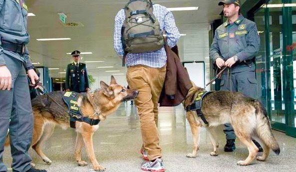 cinofila antidroga cani finanza