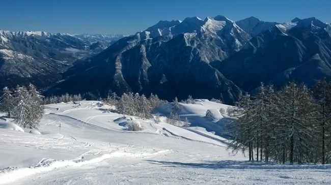 domobianca lusentino