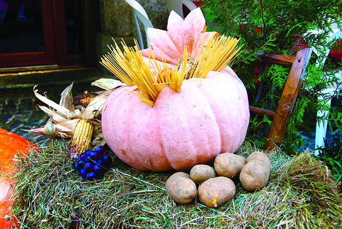 In Valle Vigezzo torna “Fuori di Zucca”. Ecco il programma