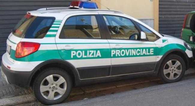 polizia provinciale