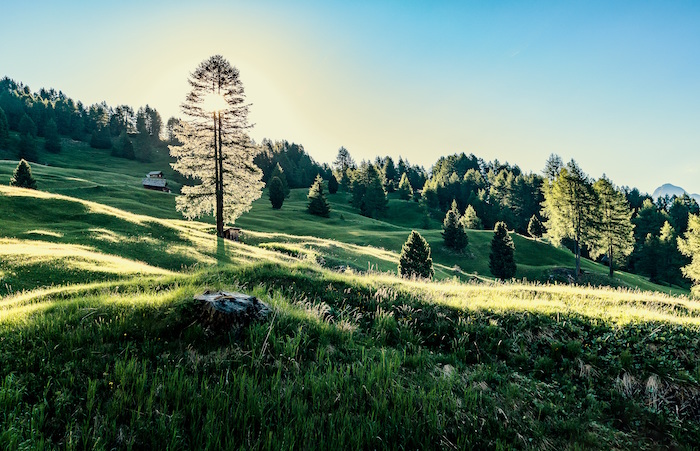 Questo weekend cieli sereni e soleggiati, ma soprattutto niente pioggia