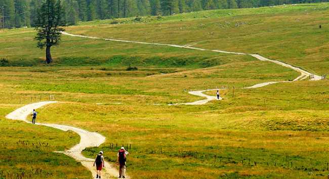 veglia prato sentiero