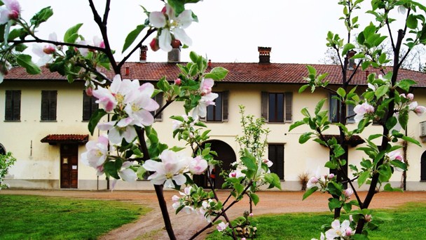 MERCANTINO LIBRO MARAZZA