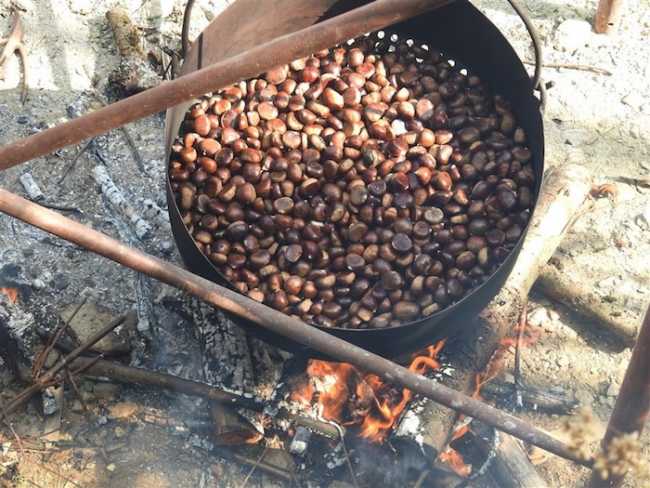 castagne
