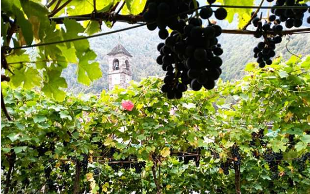 Schermata 2019 05 22 alle 11.58.35