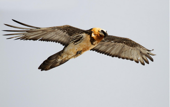 Schermata 2020 08 20 alle 09.47.27