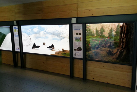 crodo centro visite parco