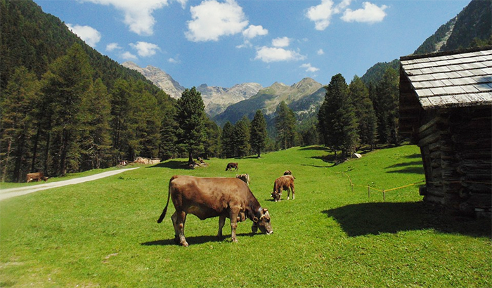 Premiati i vincenti della terza edizione del Premio Info-Point Leggere le montagne 2020