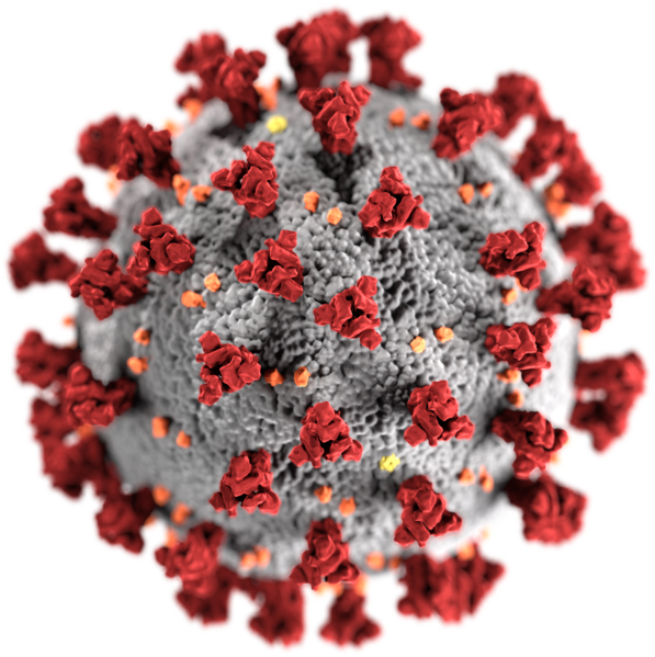 coronavirus immagine