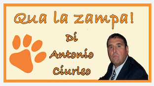 Schermata 2021 05 23 alle 10.33.17