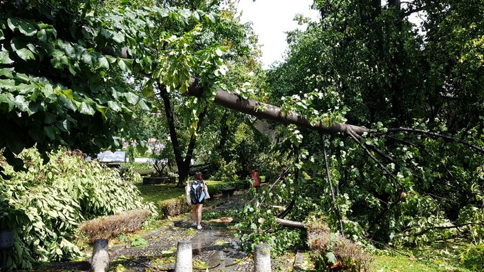 Dopo il maltempo viabilità (quasi) a regime. VillaTaranto chiusa due giorni 